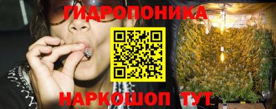 PSILOCYBIN Кунгур